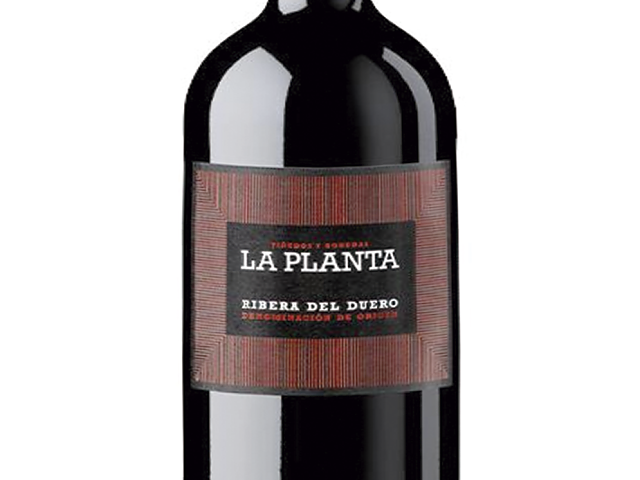 La Planta Roble